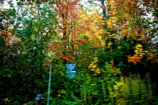 Projet 52 - Semaine 43 DSC05620