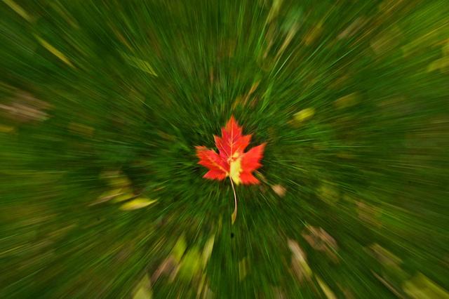 Projet 52 - Semaine 43 DSC06104