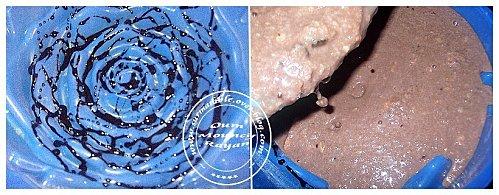 Gâteau de Pain pour la Ronde Interblogs #22 DSCF9721.JPG