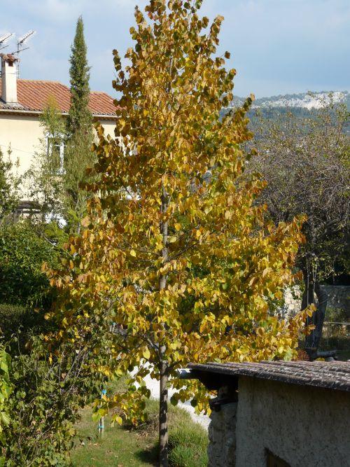 Nos photos d'octobre 2011 : après 3 semaines de beau temps, une fin de mois sous la pluie ! Nos photos d'octobre 2011 : après 3 semaines de beau temps, une fin de mois sous la pluie !