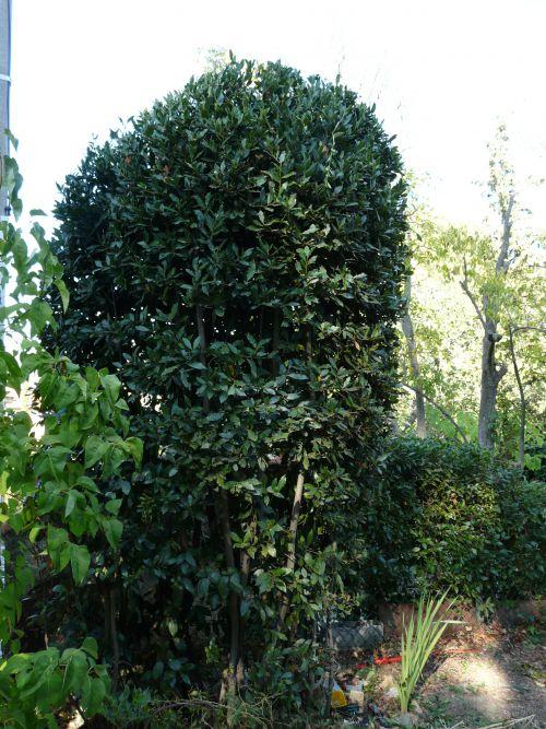 Nos photos d'octobre 2011 : après 3 semaines de beau temps, une fin de mois sous la pluie ! Nos photos d'octobre 2011 : après 3 semaines de beau temps, une fin de mois sous la pluie !