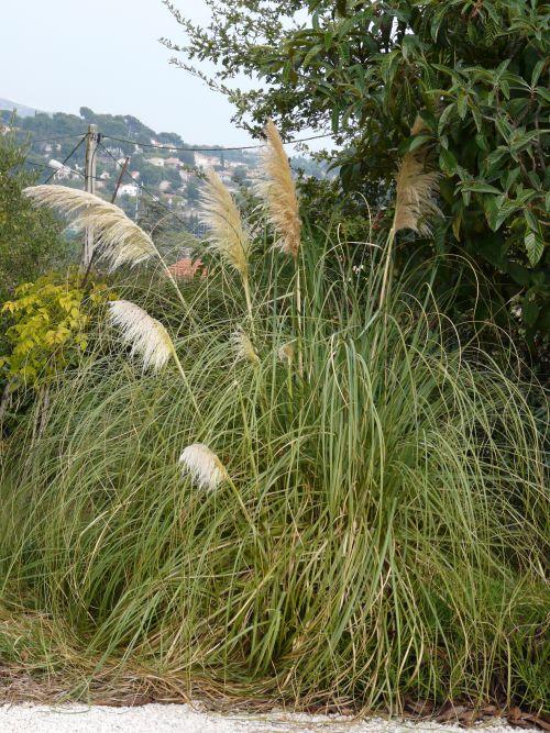 Nos photos d'octobre 2011 : après 3 semaines de beau temps, une fin de mois sous la pluie ! Nos photos d'octobre 2011 : après 3 semaines de beau temps, une fin de mois sous la pluie !