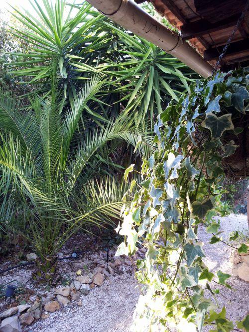 Nos photos d'octobre 2011 : après 3 semaines de beau temps, une fin de mois sous la pluie ! Nos photos d'octobre 2011 : après 3 semaines de beau temps, une fin de mois sous la pluie !