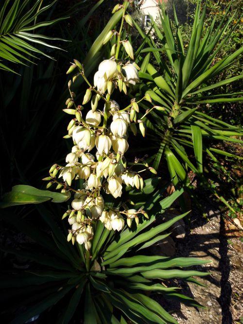 Nos photos d'octobre 2011 : après 3 semaines de beau temps, une fin de mois sous la pluie ! Nos photos d'octobre 2011 : après 3 semaines de beau temps, une fin de mois sous la pluie !