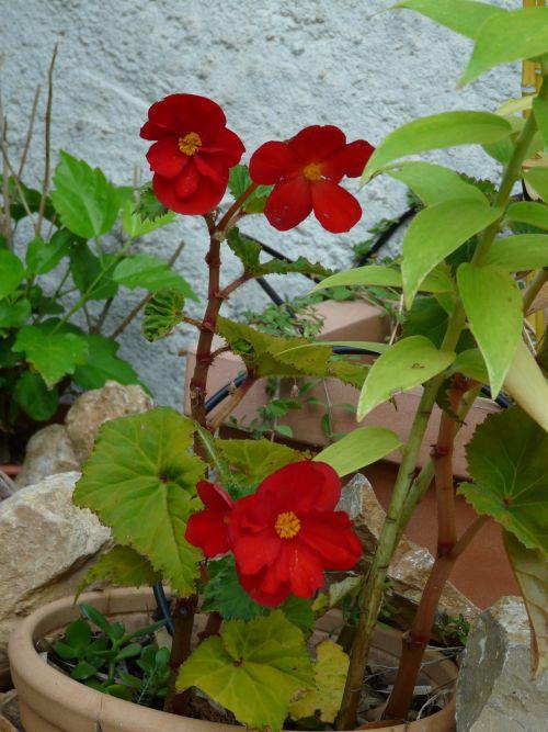 Nos photos d'octobre 2011 : après 3 semaines de beau temps, une fin de mois sous la pluie ! Nos photos d'octobre 2011 : après 3 semaines de beau temps, une fin de mois sous la pluie !