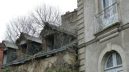 (Re)découvertes P1150641