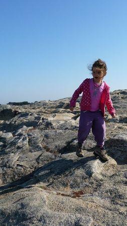 (Re)découvertes P1150357