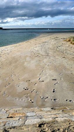 (Re)découvertes P1150627