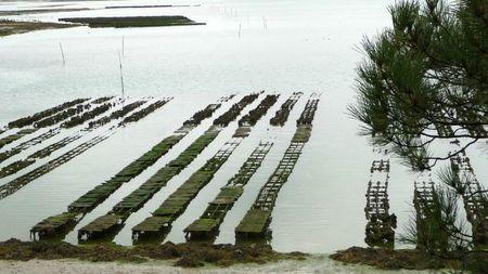 (Re)découvertes P1150664