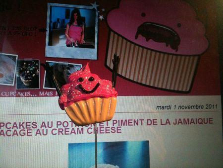 Ma broche de cupkilleuse by Sophie lespetitesbullesdesophie.com 329474_313073595376423_251274714889645_1491071_1923302218_o