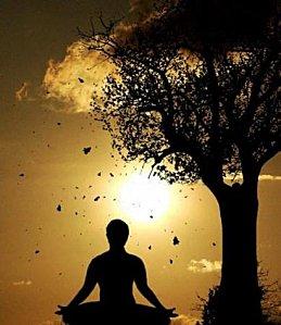 J'inspire... automne_zazen.jpg