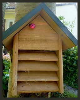 Le changement d'heure nous a plongé dans la saison et il ... Le changement d'heure nous a plongé dans la saison et il ...