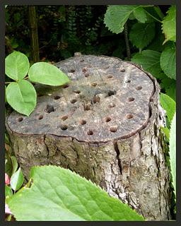 Le changement d'heure nous a plongé dans la saison et il ... Le changement d'heure nous a plongé dans la saison et il ...