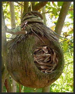 Le changement d'heure nous a plongé dans la saison et il ... Le changement d'heure nous a plongé dans la saison et il ...