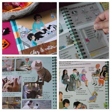 Chez le vétérinaire numérique9