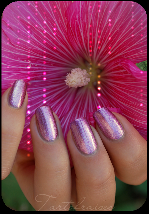Nail angel - Hera http://tartofraises.nailblogs.net/vernis/nailangel/nailangel_hera14.png