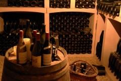 VDV#40: polygamie beaujolaise... (deuxième partie) vendredis du vin,gamay,beaujolais,beaujolais nouveau