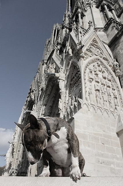 ROUGE ET GRIS. ROUGE ET GRIS.