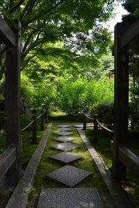 Je suis déjà venue ici ... DSC_3160