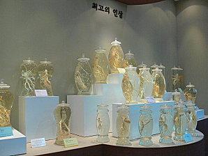 Quelques festivals coréens régionaux P1210746