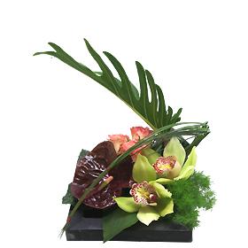 Interflora-bourges_01 Interflora-bourges_01