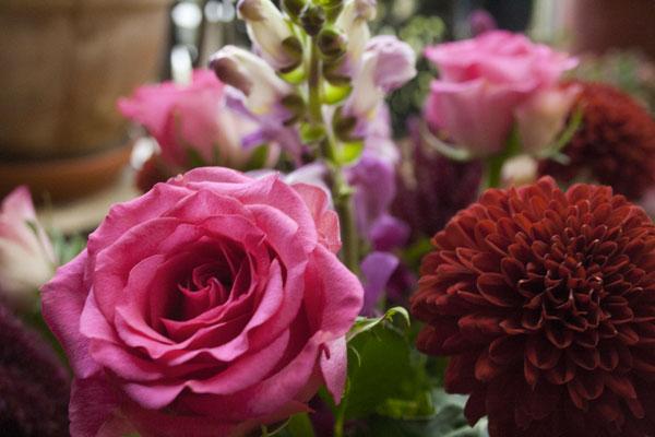 7 jours, 7 photos 7 jours, 7 photos