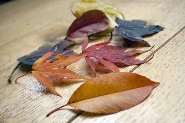 7 jours, 7 photos 7 jours, 7 photos