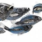 poisson Edouard Martinet :Artiste recycleur de -grand- talent..