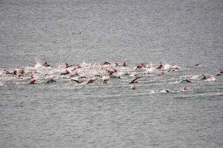 documentaire ﹌ nature otaries2