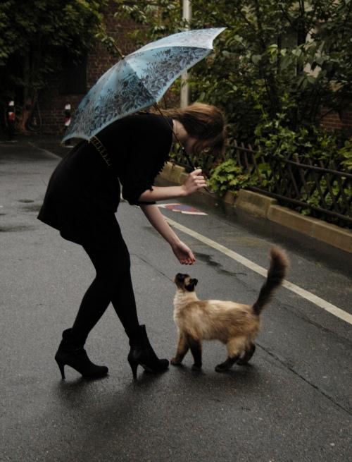 _DSC8460 2 ans du blog : Best of Shâh