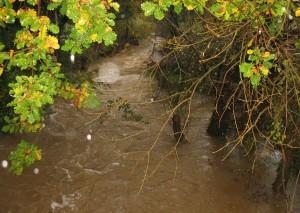 004 Déjà en 1827 !