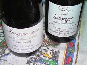 Deux Morgon pour un prélude.... derniers_clich_s_de_octobre_209