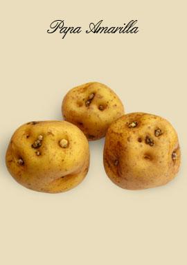 LA PAPA-LE PÉROU PAYS DE LA POMME DE TERRE