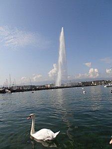 C'est en septembre...Genève bordeaux et gwada 187