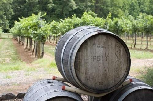 Vin : production stable malgré le recul du vignoble mondial