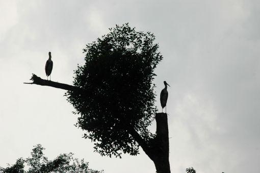 Légèrement à l'ouest.... Légèrement à l'ouest....