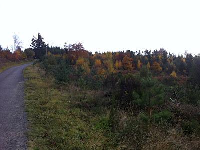 Iphone : photo en HDR, ou pas ? Iphone : photo en HDR, ou pas ?