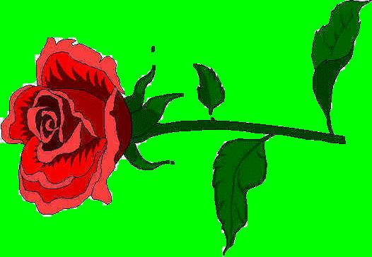 L'Ardèche - Voguë et ses environs rose