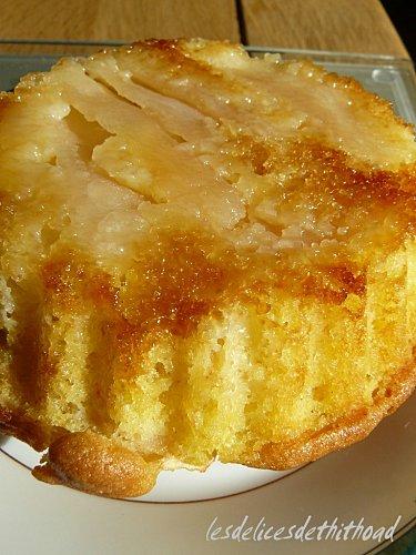 Moelleux aux pommes P1120619.JPG