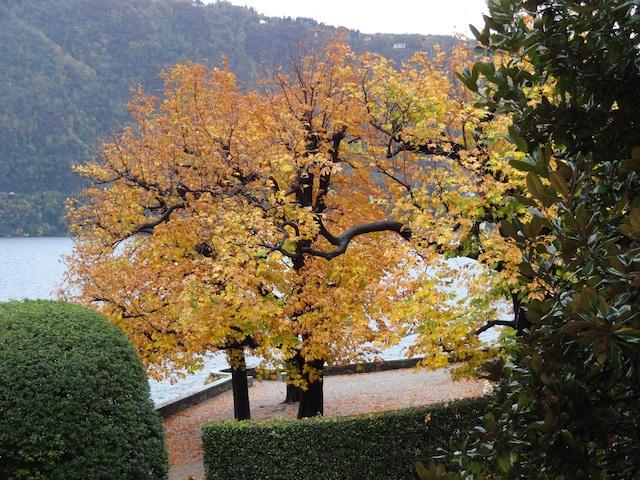 WWS III à Villa d'Este (2) arv