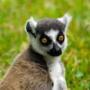 Madagascar en Photos, tout Madagascar en 10.000 images