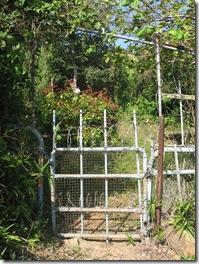 Novembre2011_231 Novembre2011_231