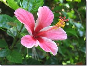 Novembre2011_216 Novembre2011_216