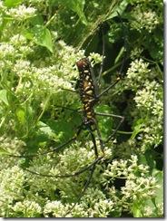 Novembre2011_235 Novembre2011_235