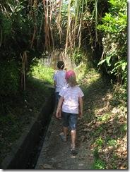 Novembre2011_198 Novembre2011_198