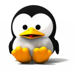 Linux simple