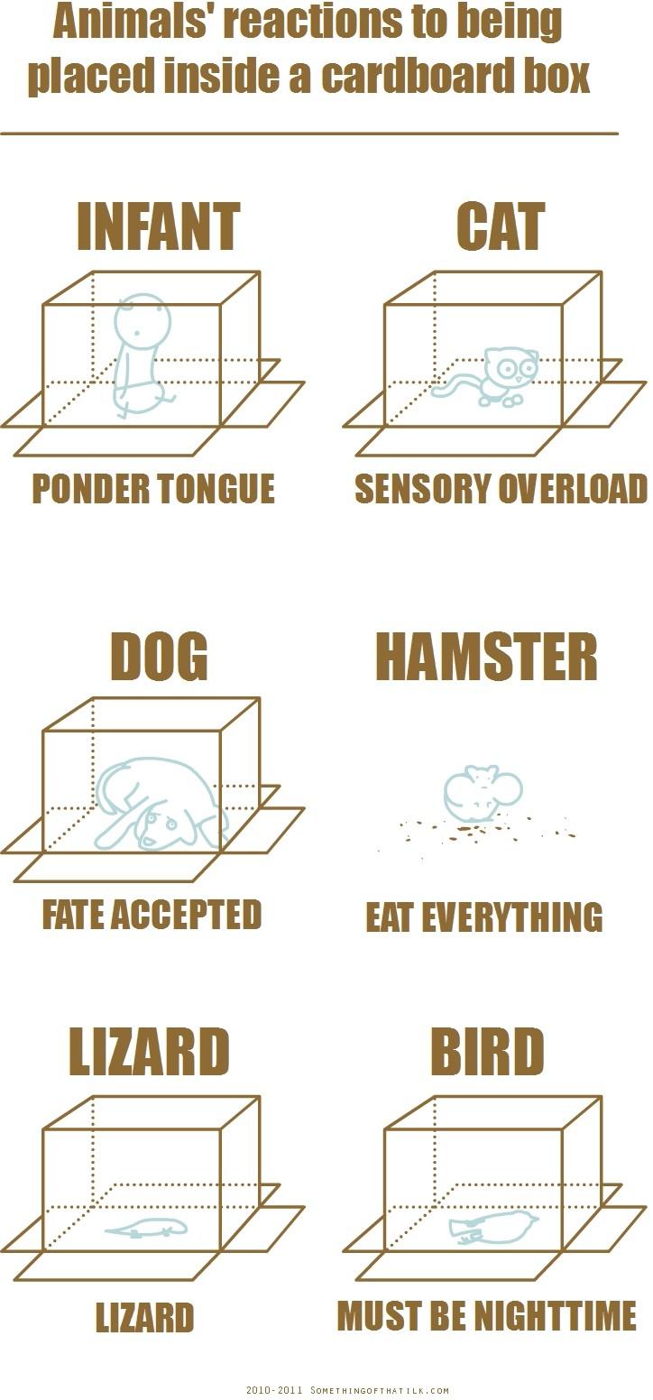 box box