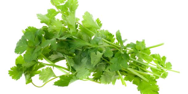 Soupe verte coriandre Soupe verte coriandre