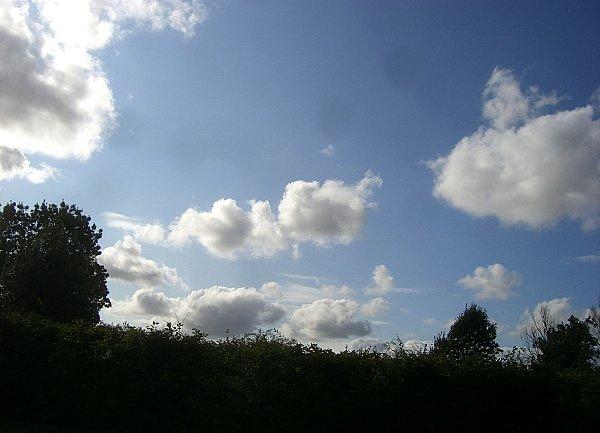 Professeur Cumulonimbus bebe-sur-le-dos-copie-1.jpg