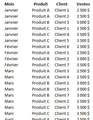 Tableaux croisés dynamiques dans Excel: La base